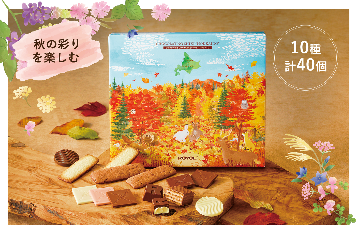 ショコラの四季[HOKKAIDO](オータムパッケージ)