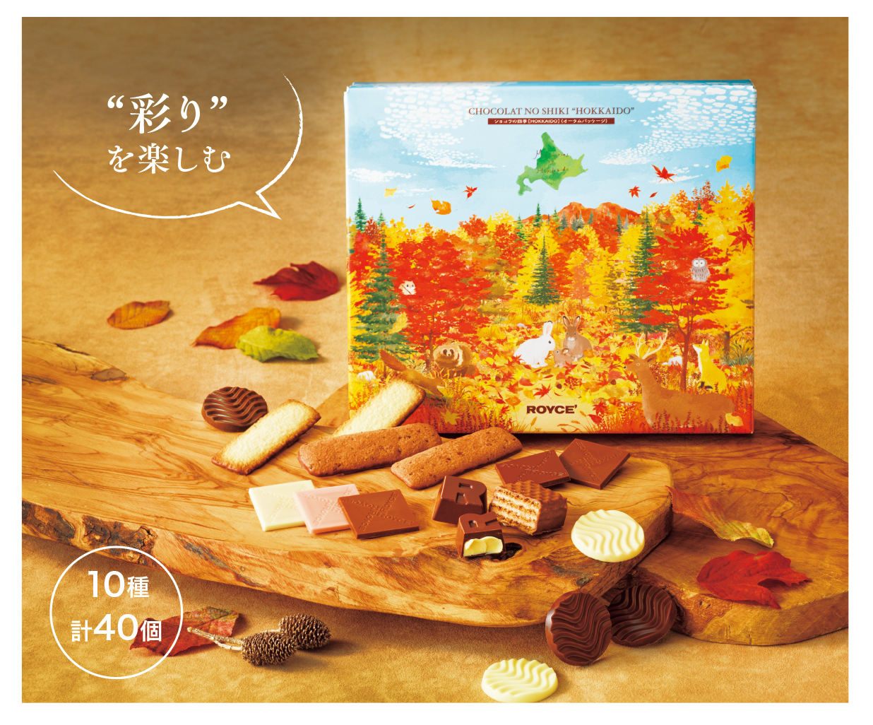 ショコラの四季[HOKKAIDO](オータムパッケージ)