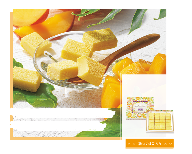 ロイズ石垣島 生チョコレート[マンゴー] イメージ