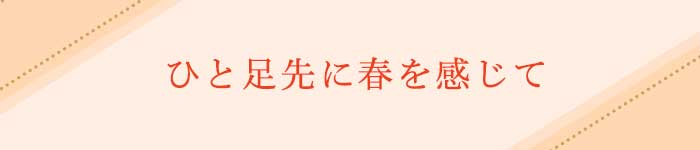 冬に食べたい生チョコレートタイトル