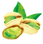 ピスタチオの絵