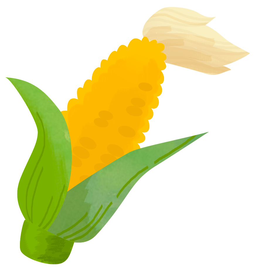 とうもろこしの絵