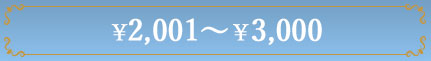 2,001円〜3,000円