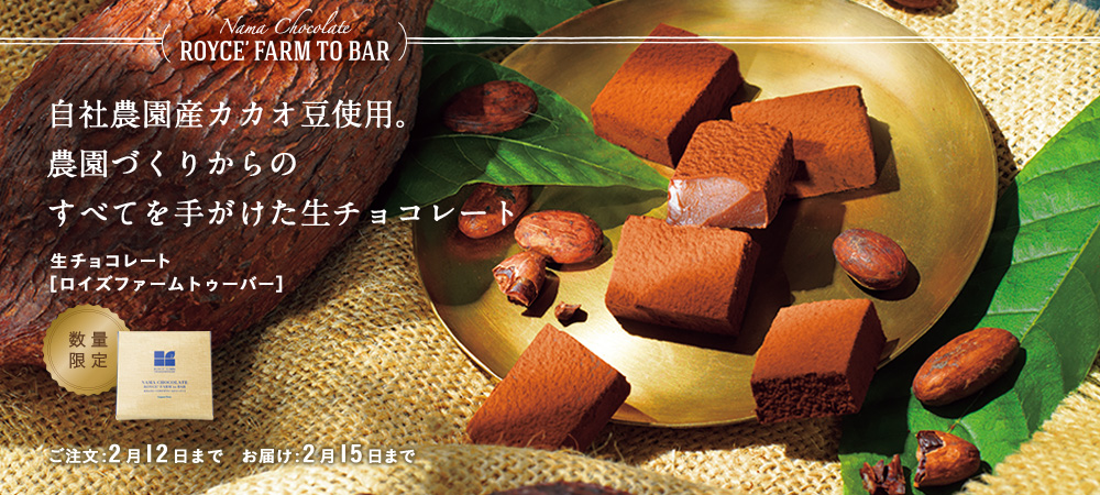 ぴーちゃん様 オーダー専用 ぴーちゃん様】専用 オーダー髪飾り