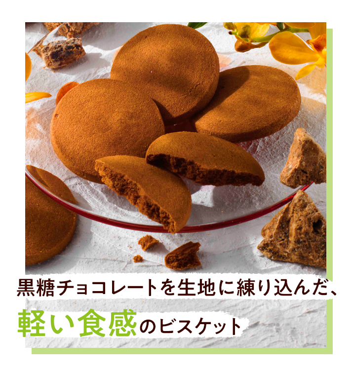 楽天市場】6/1〜6/30限定 エントリー＆お買い物で最大100